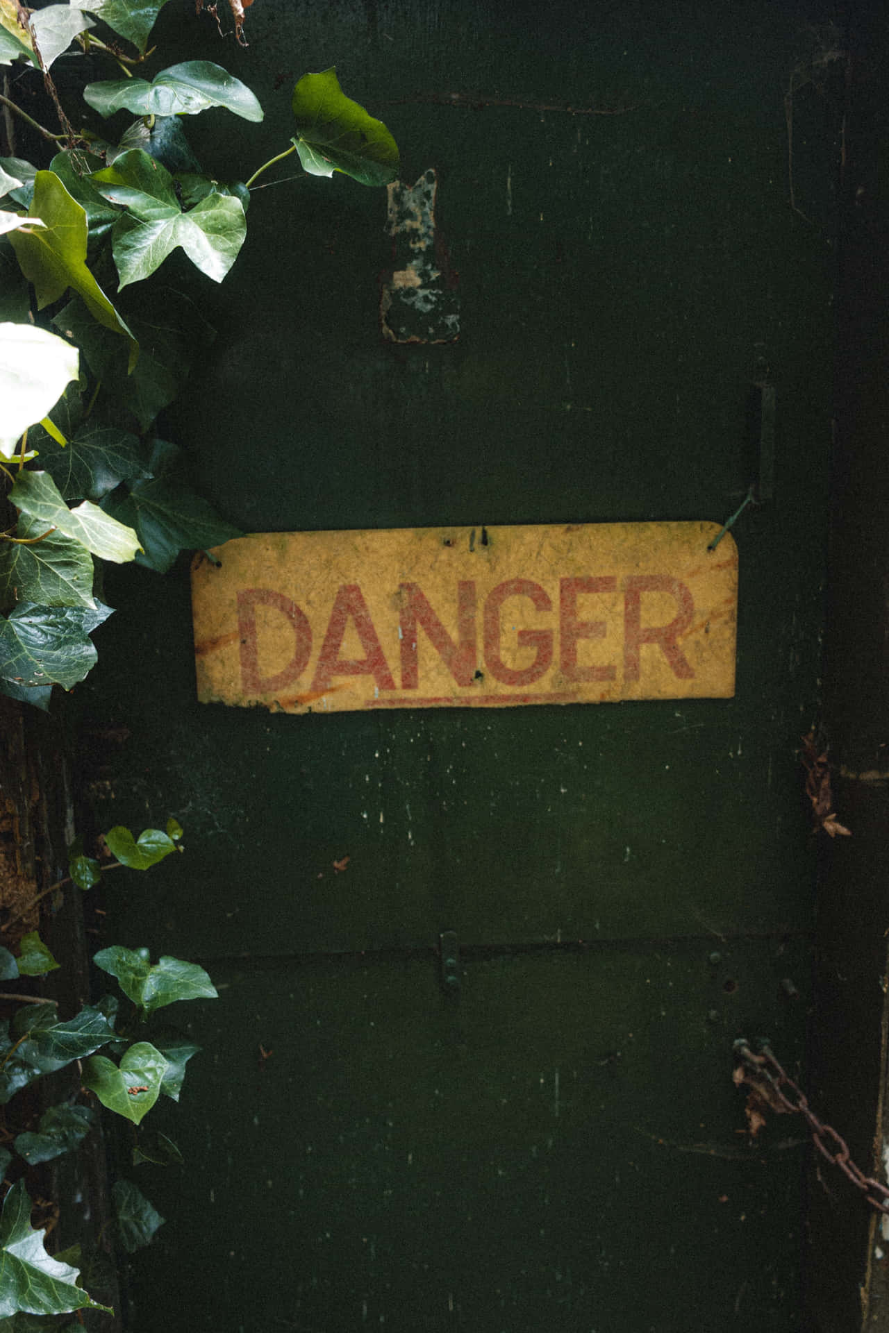 Danger Ahead Wallpaper