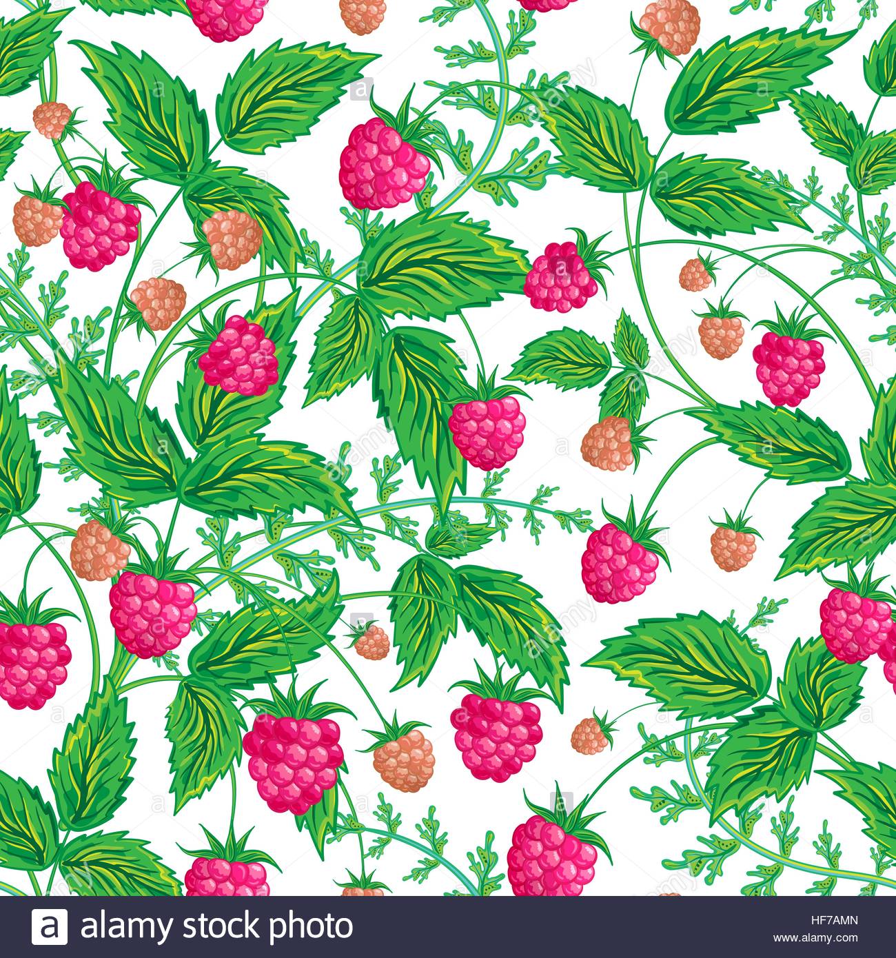 Seamless Raspberry Pattern Cute Hand Drawing Background