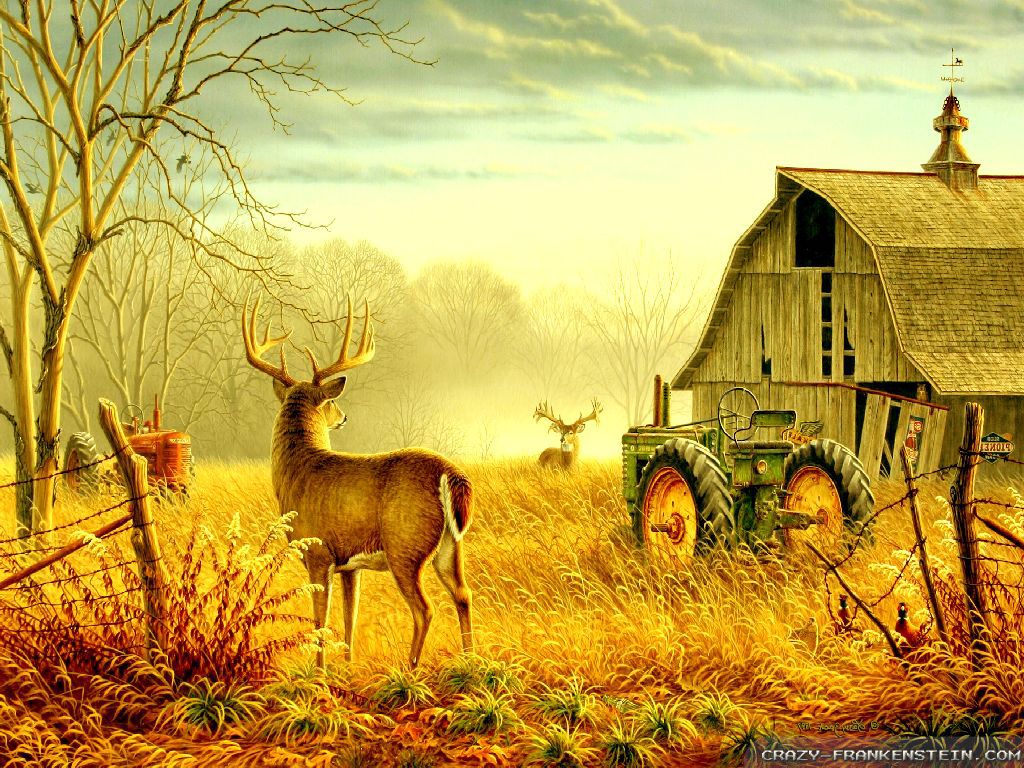 Wallpaper Abandoned Country Farm Autumn Scenes