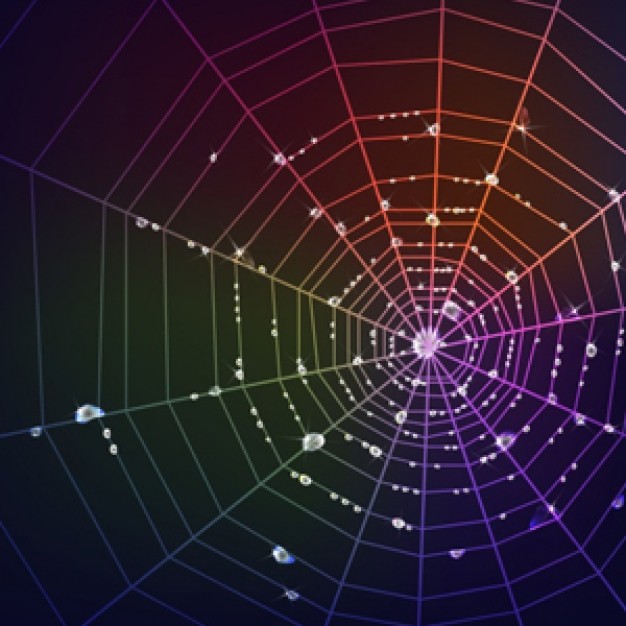 Colorful Spider Web In Black Background Vector