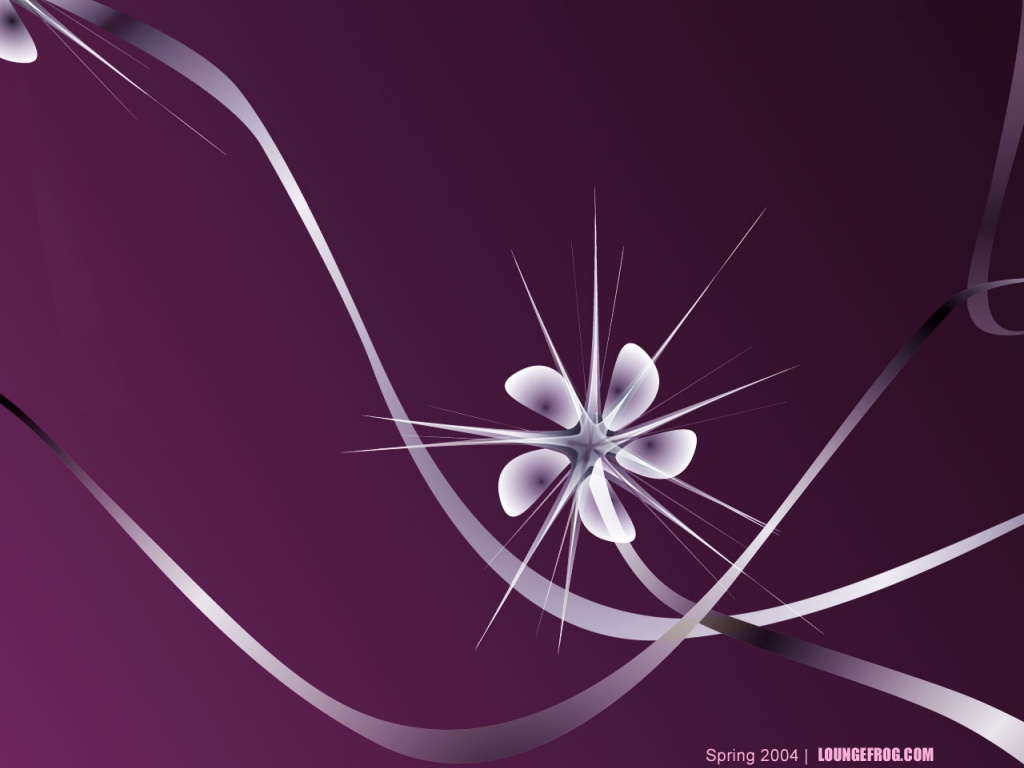 1024x768 Spring abstract flower desktop PC and Mac wallpaper 1024x768