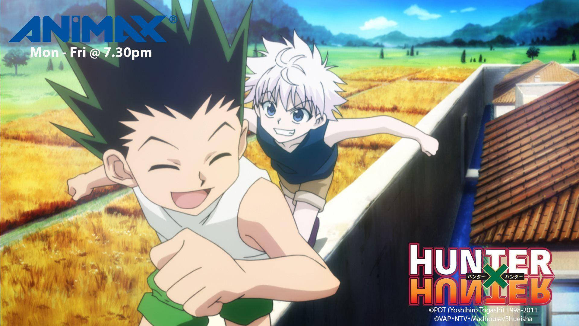 Gon Css Wallpaper