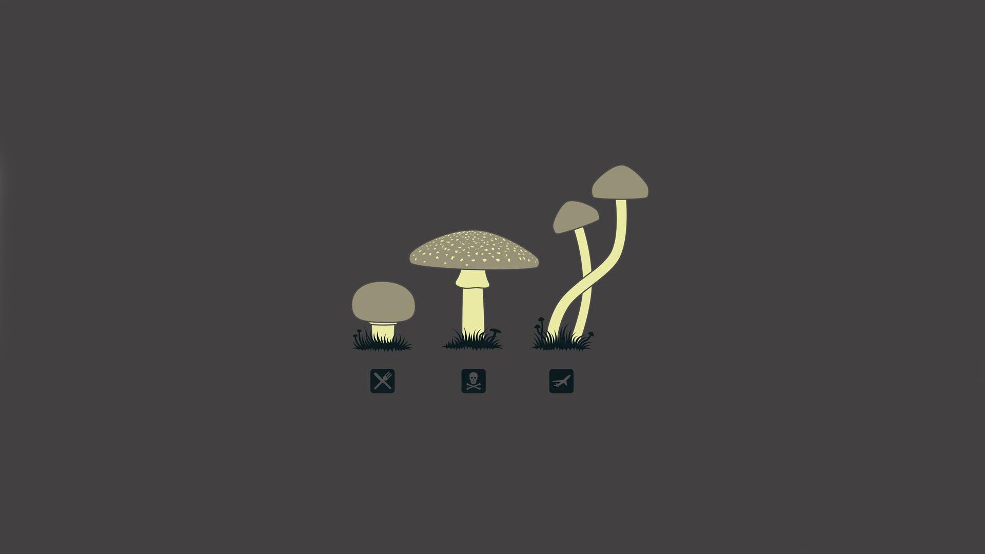 Mushroom Drugs Minimalism Wallpaper HD Desktop And Mobile