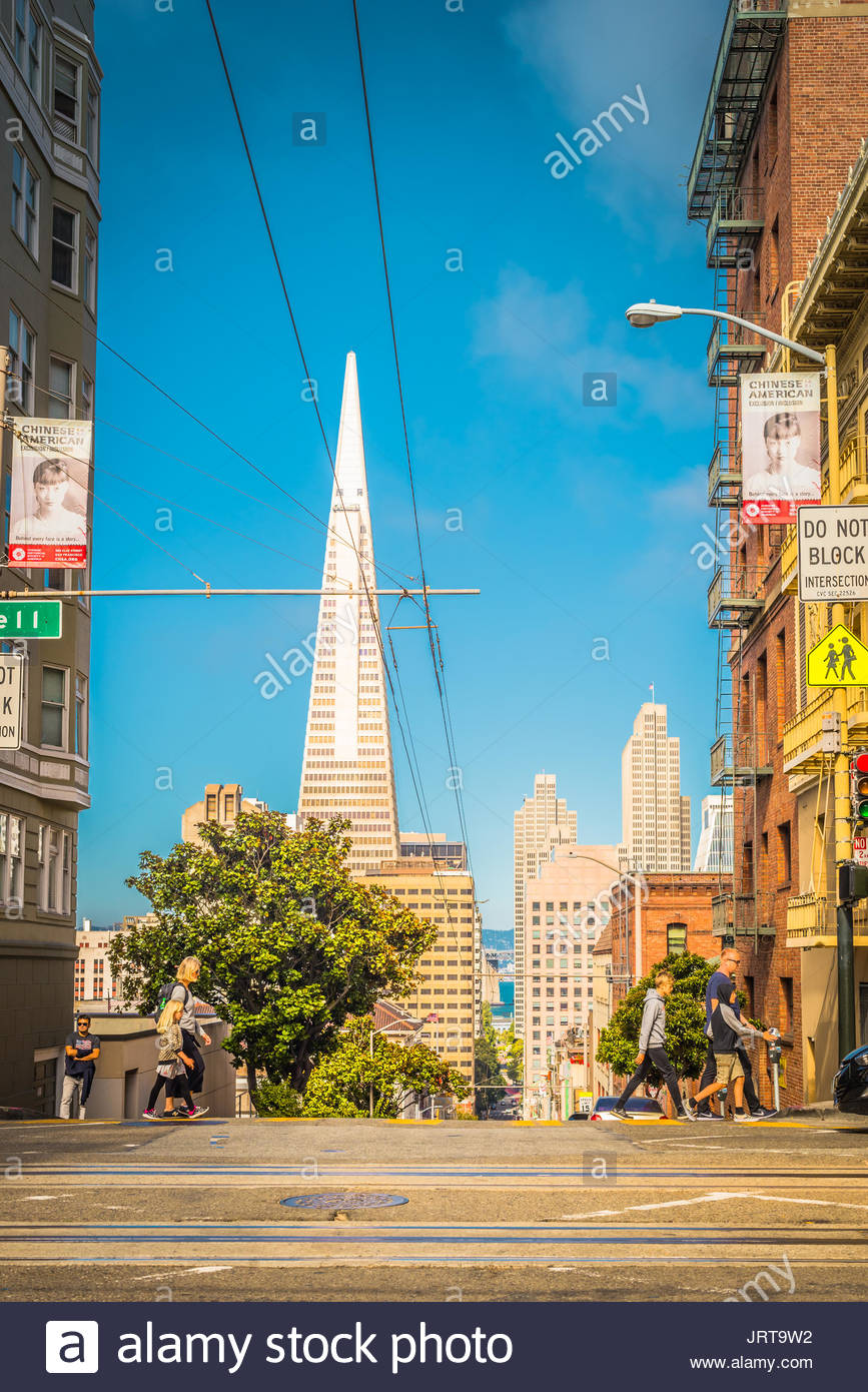 Downtown And Transamerica Pyramid On Background Sf Is The Most