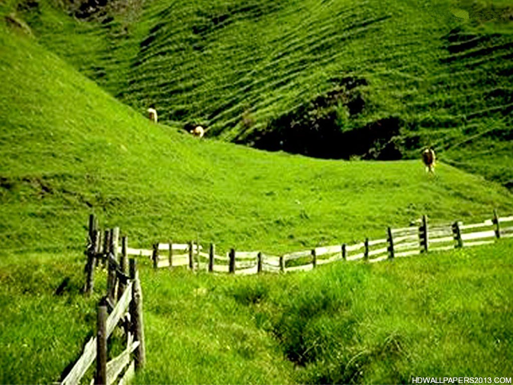 Wallpaper Nature Scene