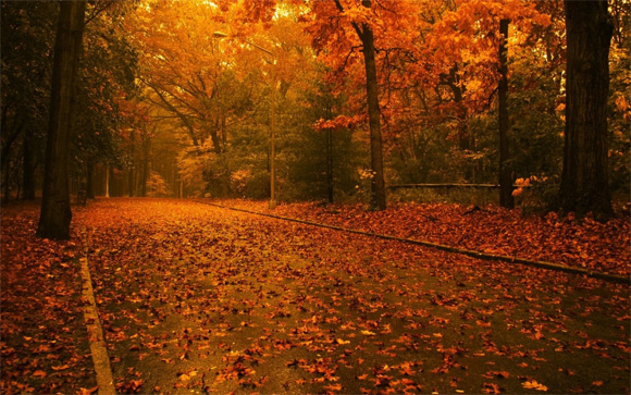 Beautiful Autumn Wallpaper To Spice Up Your Desktop