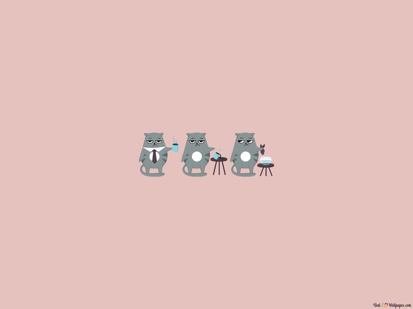 Grey Grumpy Cat   aesthetic minimalist design HD wallpaper download
