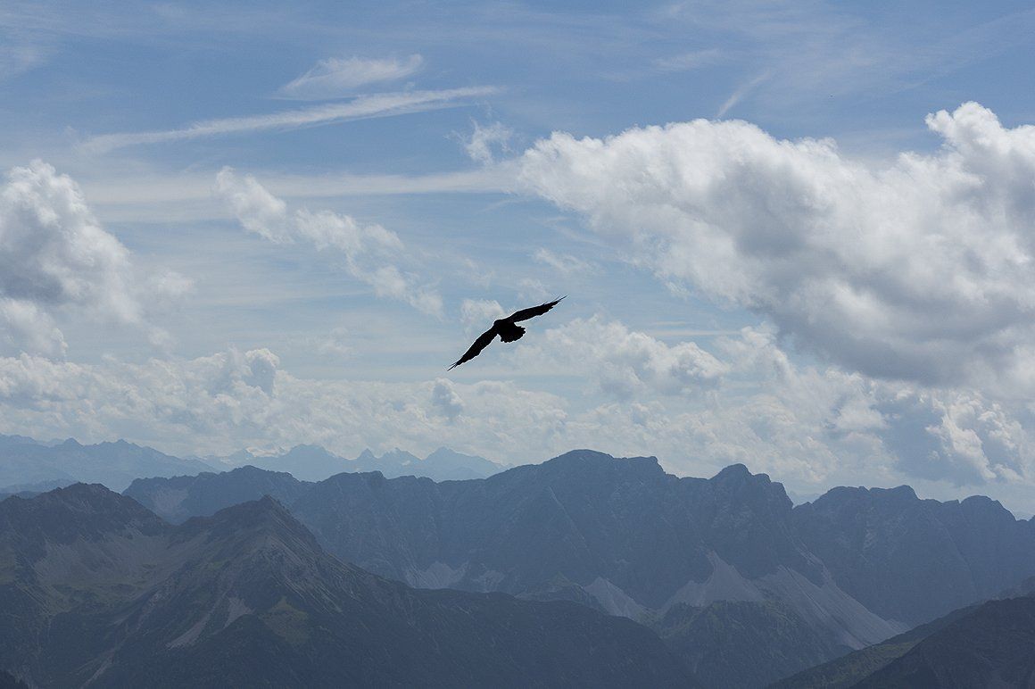 Mountain Background Volume Iii High Includes Res Austrian