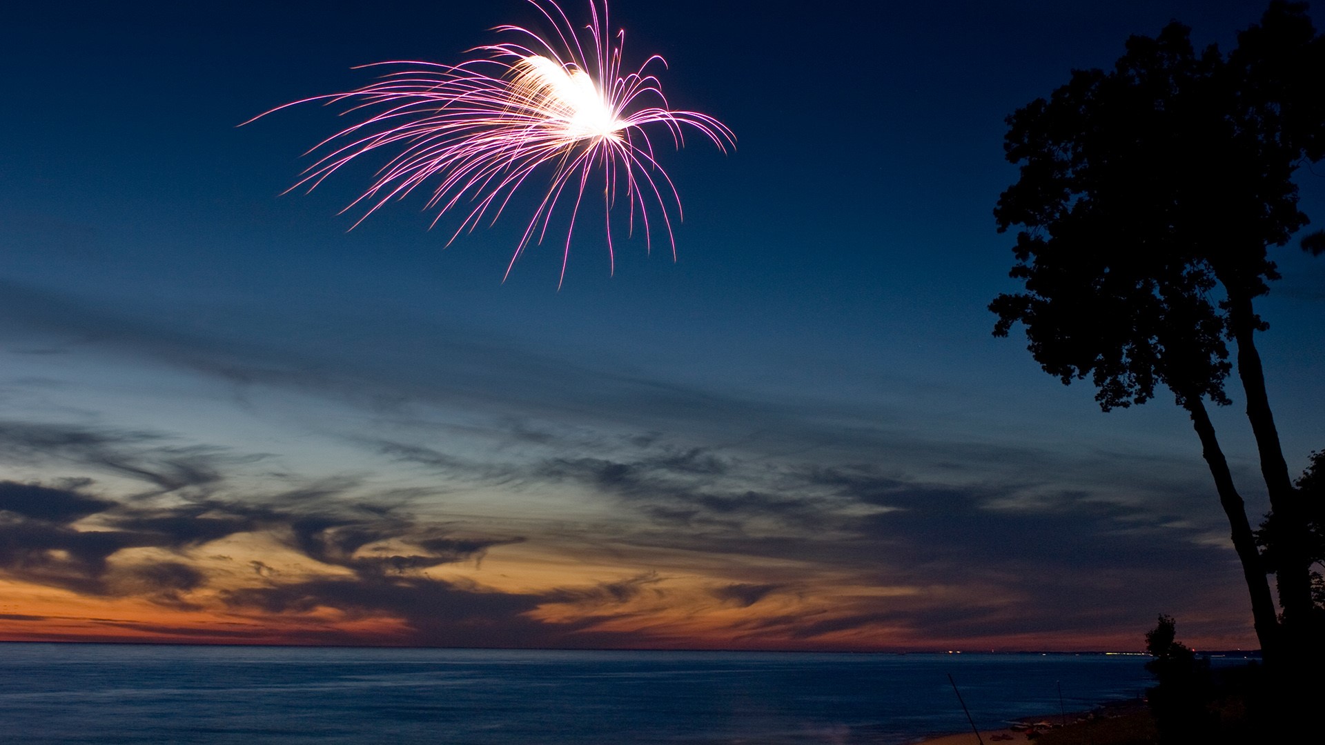 Fireworks On A Beach At Sunset Windows Spotlight Image