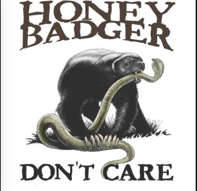 Honey Badger Image Don T Care Wallpaper And