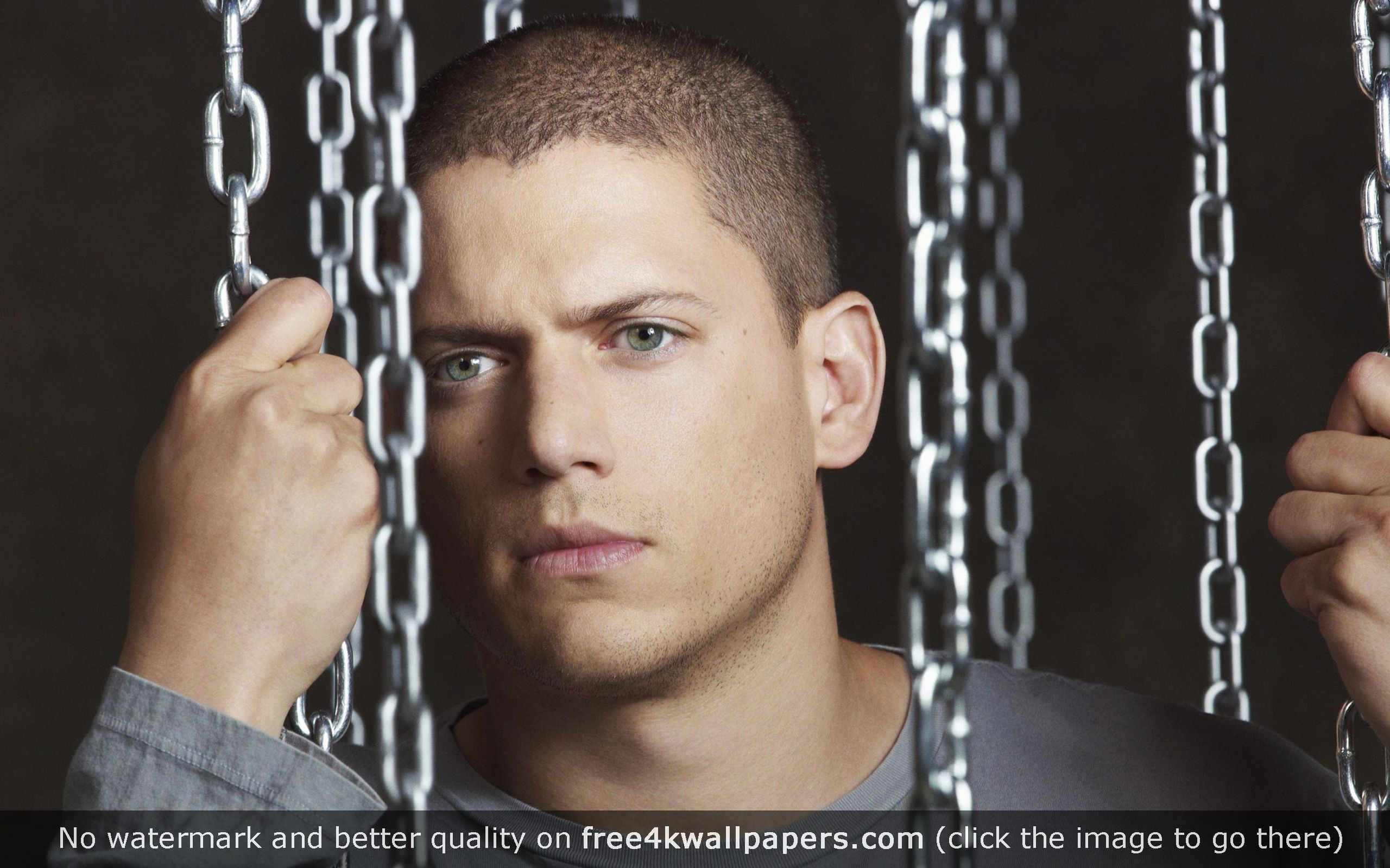Wentworth Miller Prison Break Season HD Wallpaper