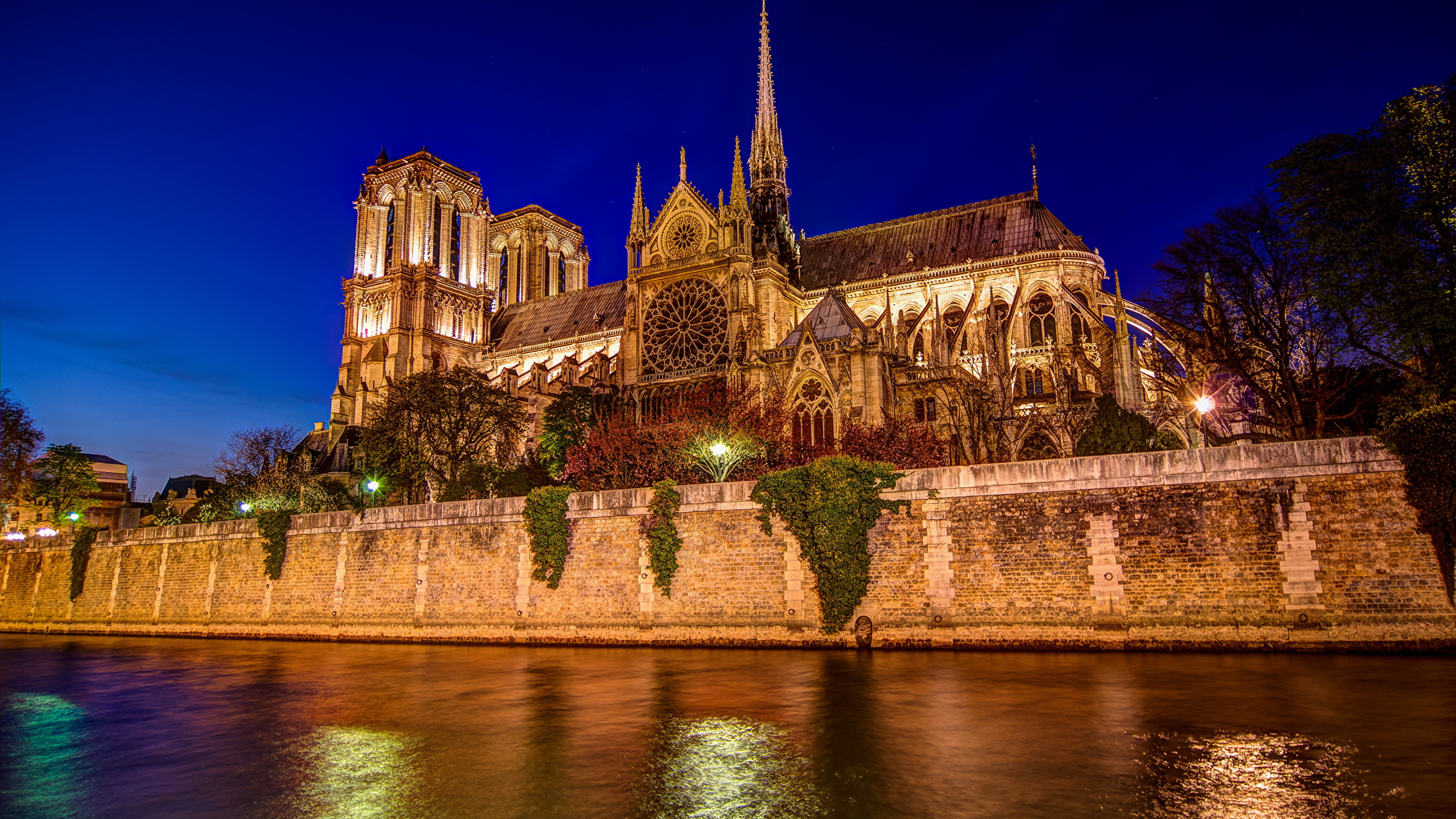Picture Paris Cathedral France Notre Dame Night