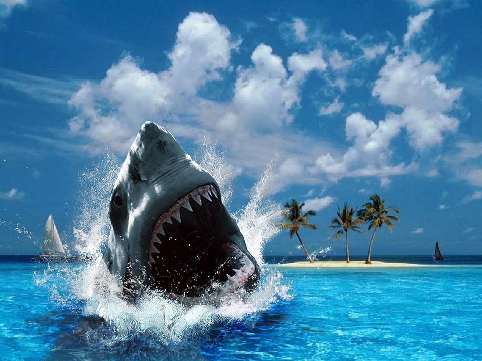 Make Desktop Background Wallpaper High Definition