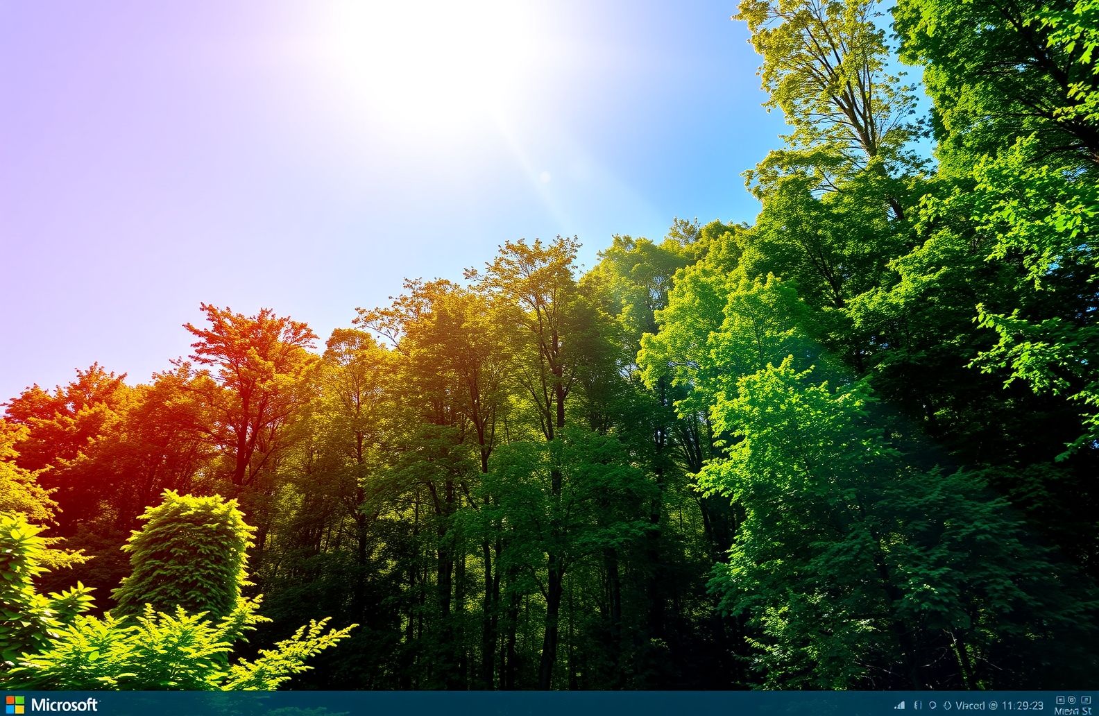 Microsoft Wallpaper Themes