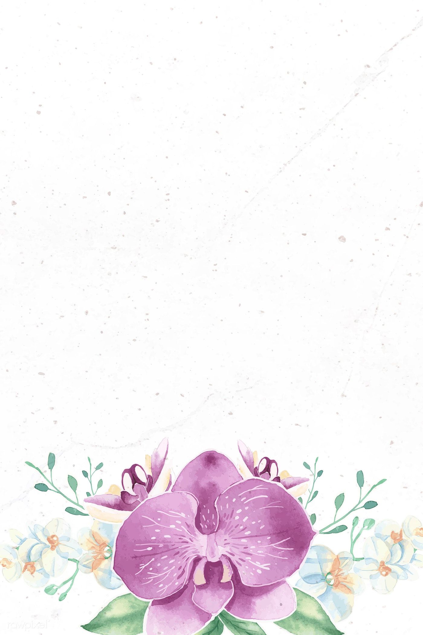 Premium Vector Of Purple Flower On White Background