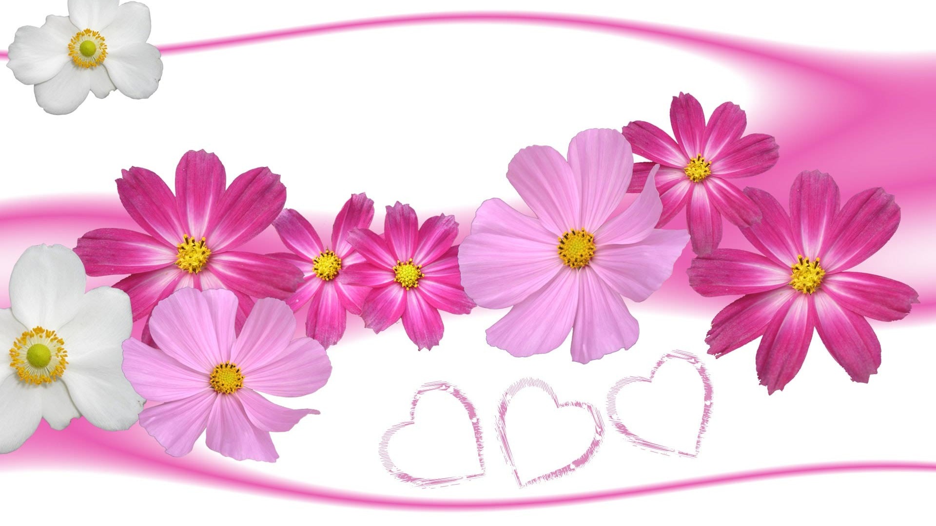 Pics Photos Gallery Flowers And Hearts Pink Background