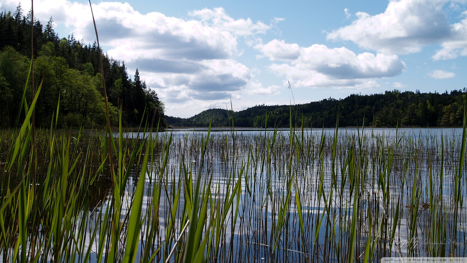 Lake In East Sweden Wallpaper