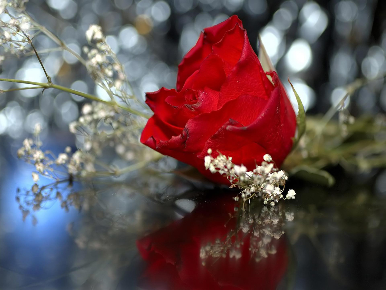 Desktop Wallpaper Of Wedding Red Rose Puter