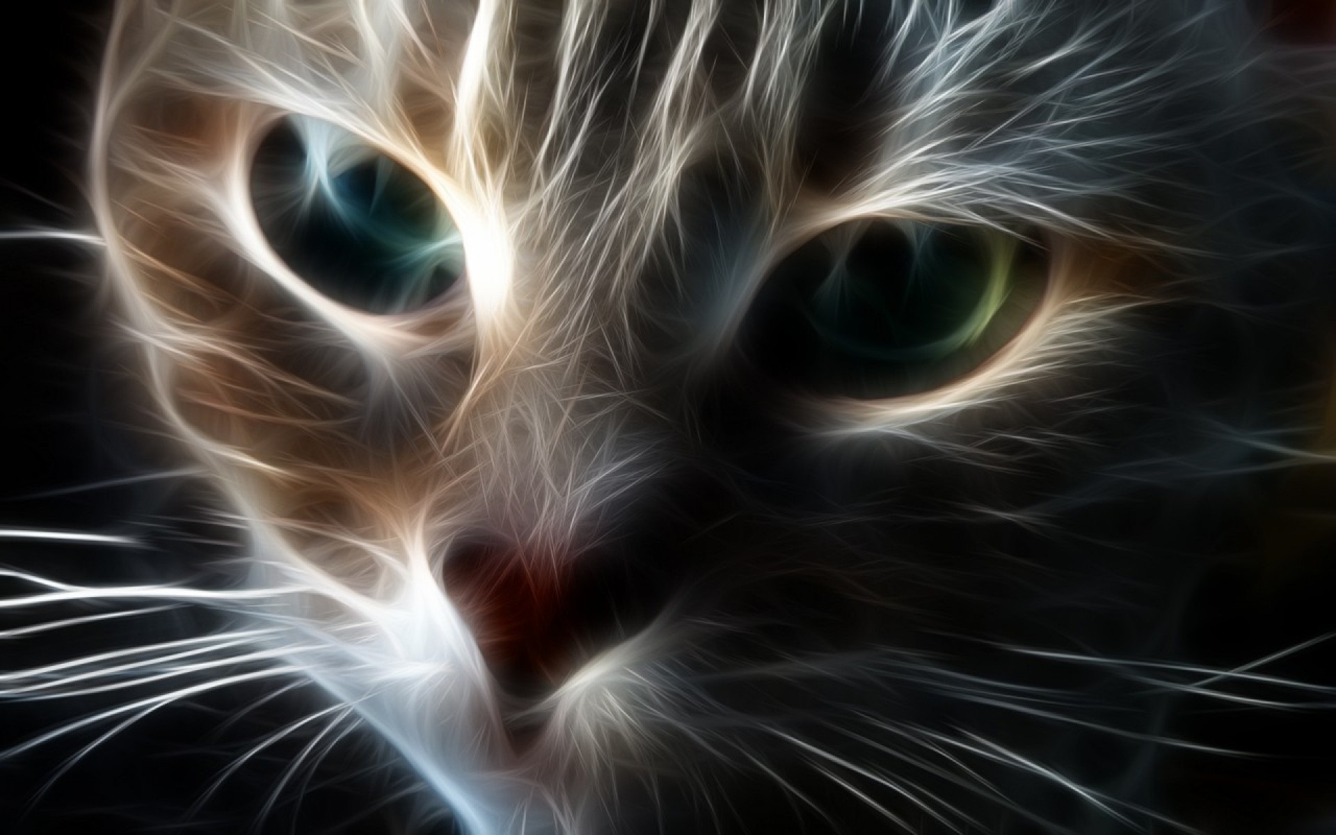 Abstract Processing Art Face Mystic Cat HD Wallpaper