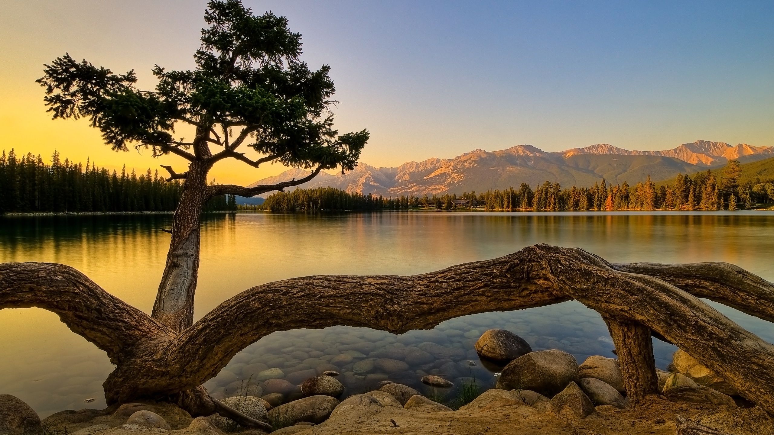 Nature Wallpaper