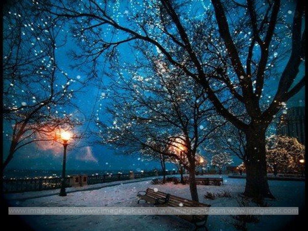 Winter Scenery At Night Wallpaper