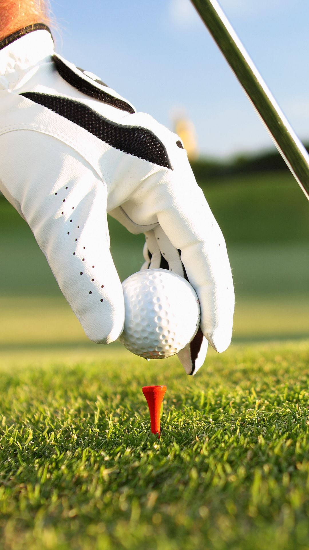 Golf Course Wallpaper