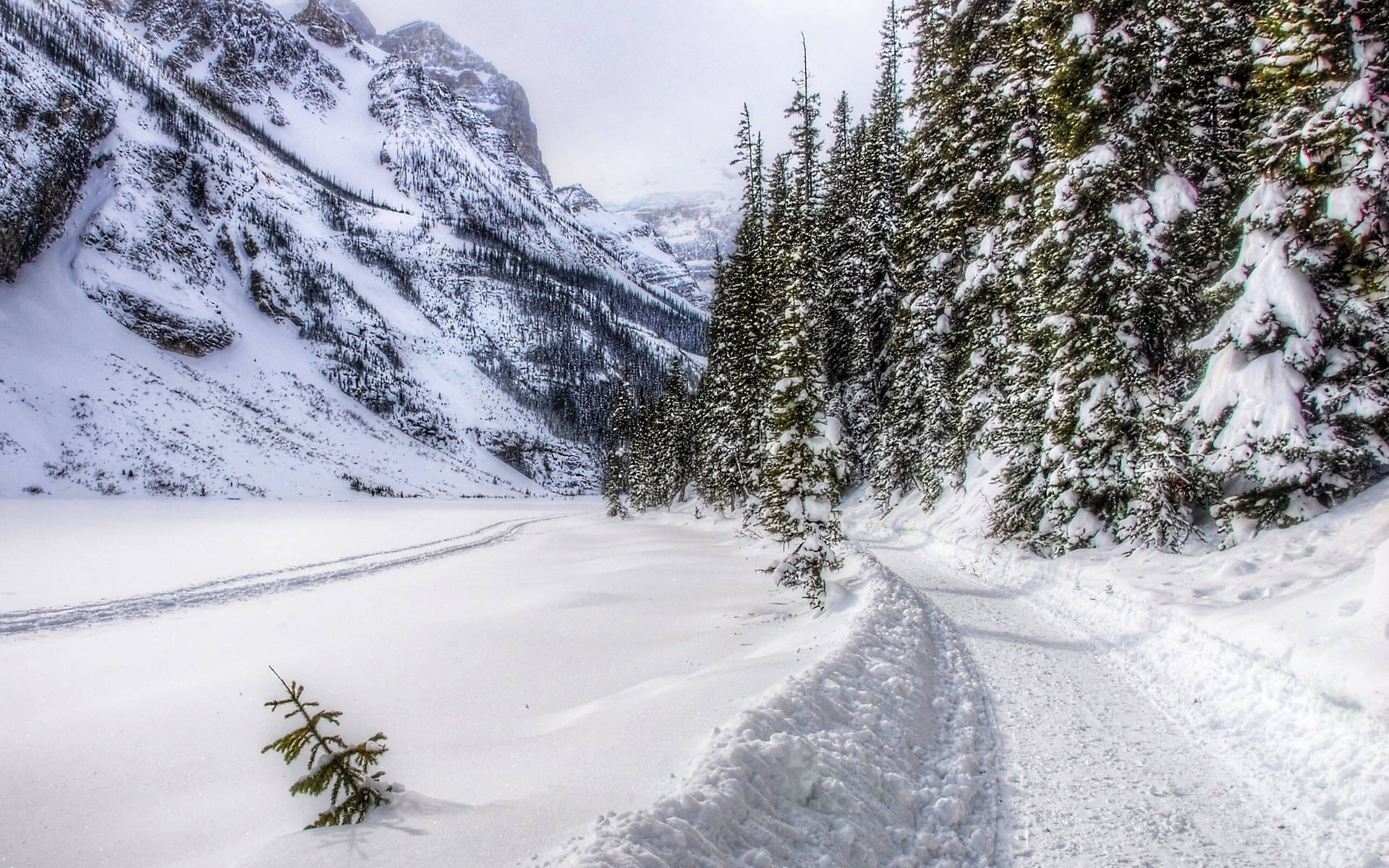 Winter Season Wallpaper