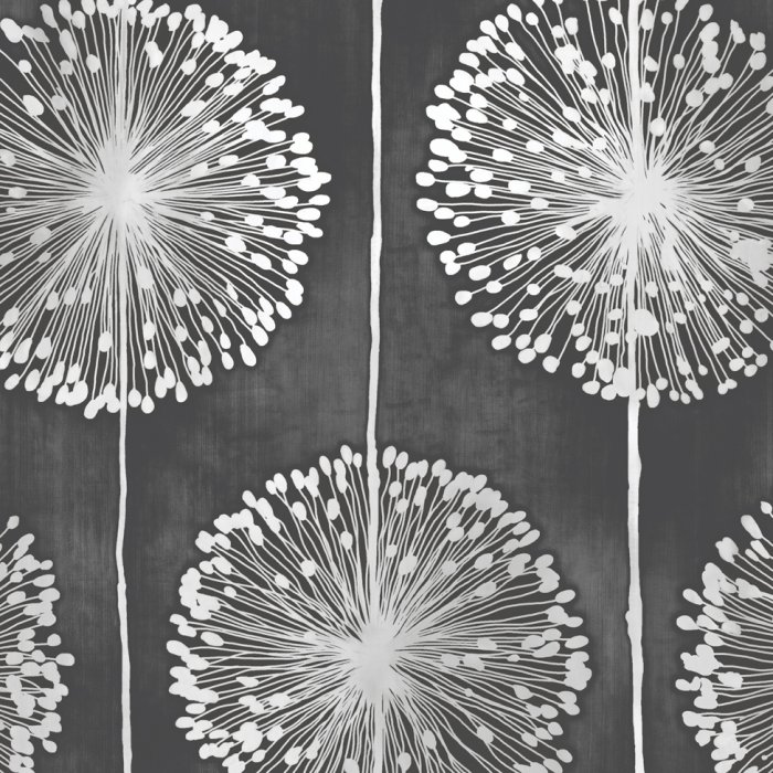 Free download Dandelion Floral Designer Feature Wallpaper Black Grey