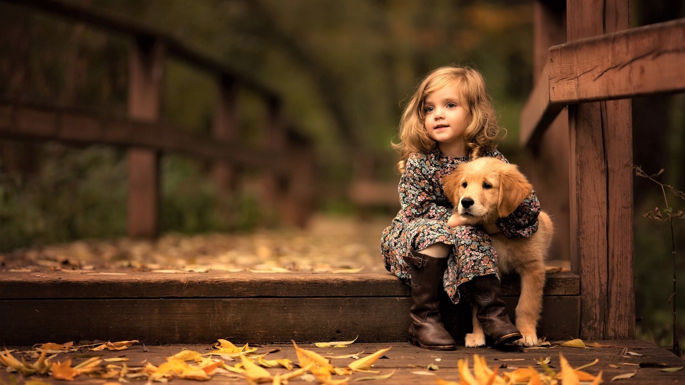Golden Retriever With Cute Girl Awesome HD