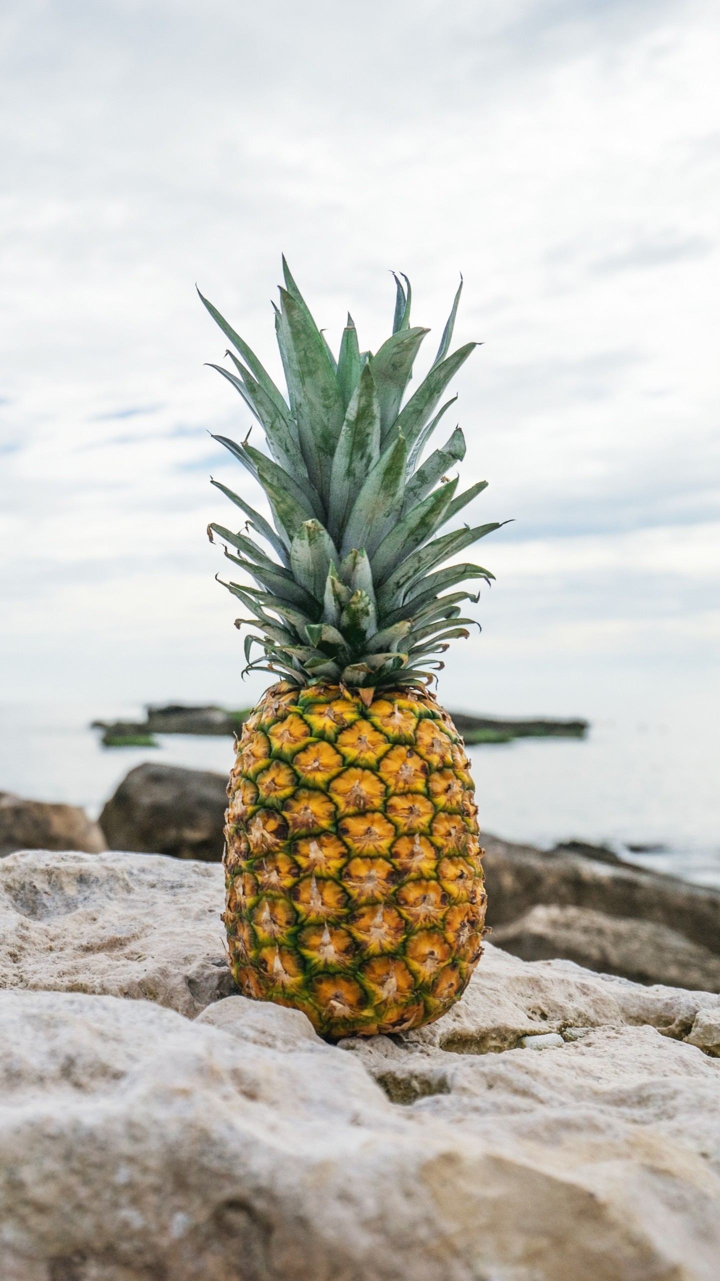 Pineapple Wallpaper