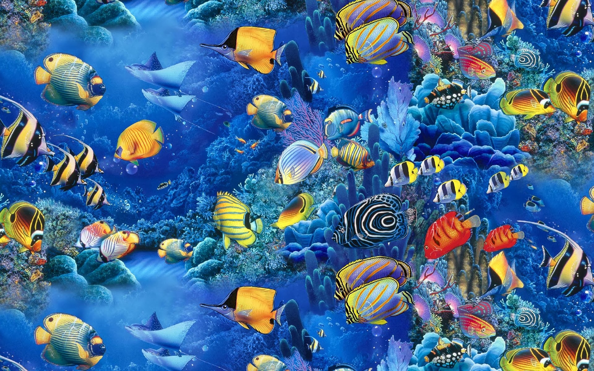 Fish Wallpaper Desktop Windows