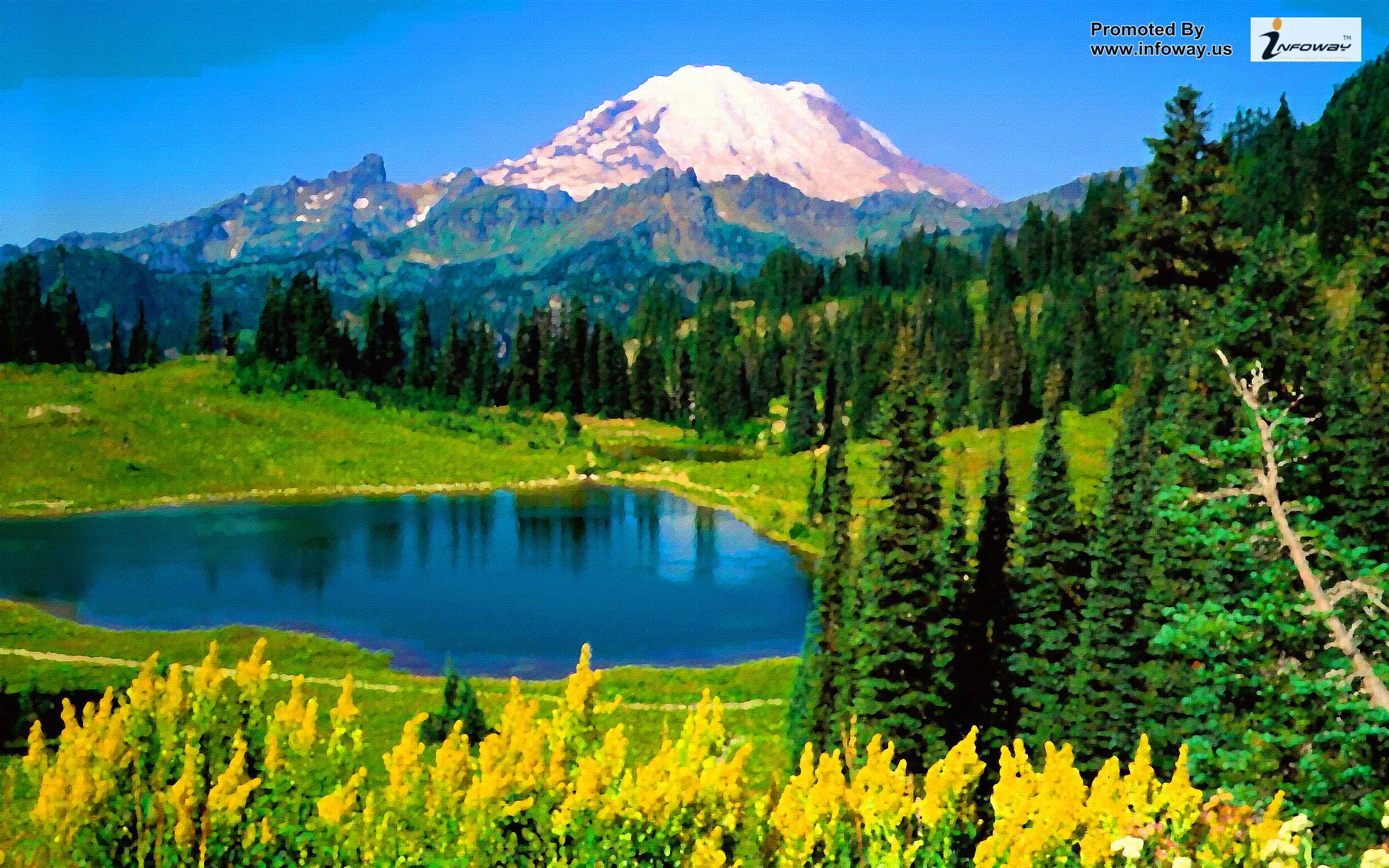 Green Mountain Scenery Wallpaper