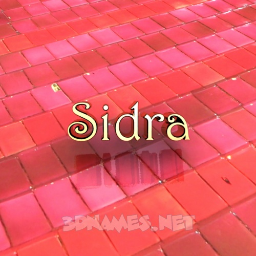 Pre Of Red Tiles For Name Sidra