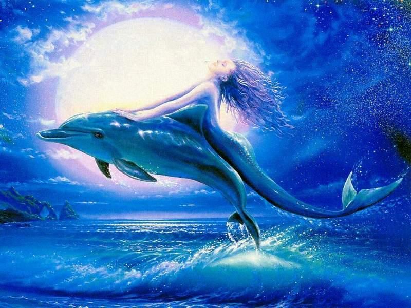 Beautiful Clouds Dolphin Fish Mermaid Moon Night Sea Waves