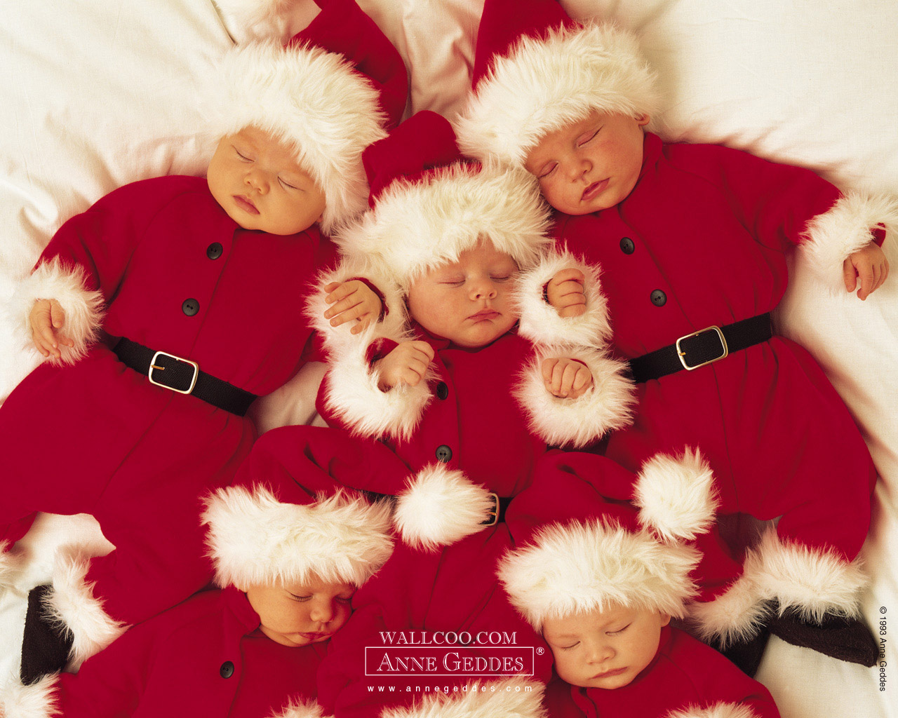 50+] Anne Geddes Christmas Babies Wallpaper - WallpaperSafari