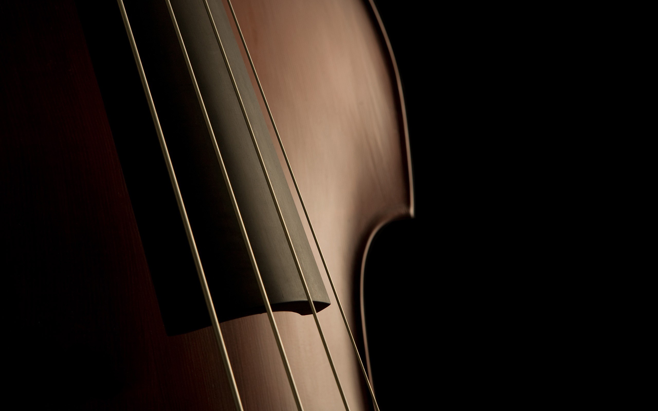 Violins Cello Wallpaper Wallpoper