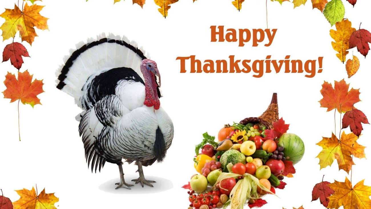Happy Thanksgiving Day Wallpaper Photos HD For