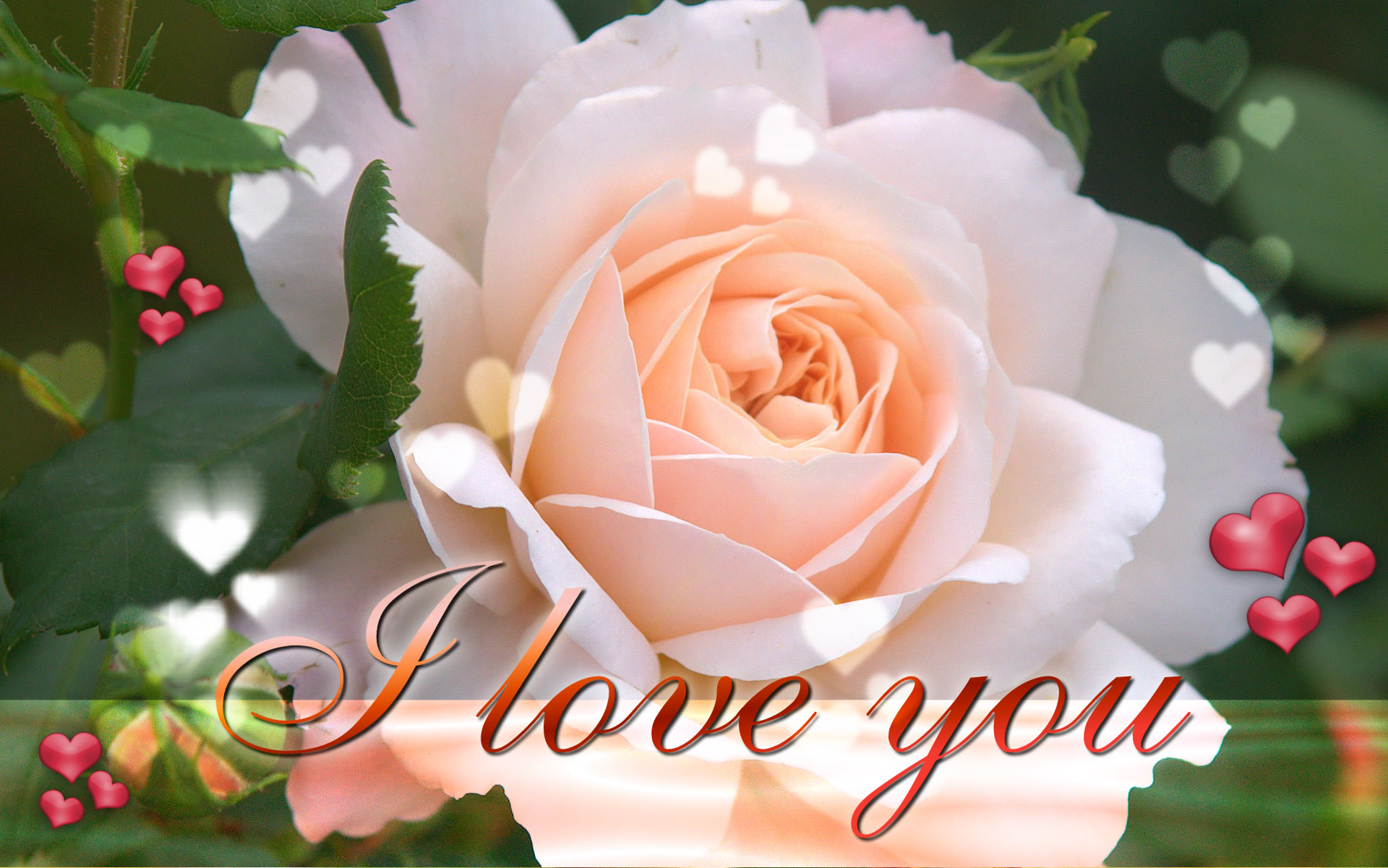 Desktop Background HD Wallpaper 3d