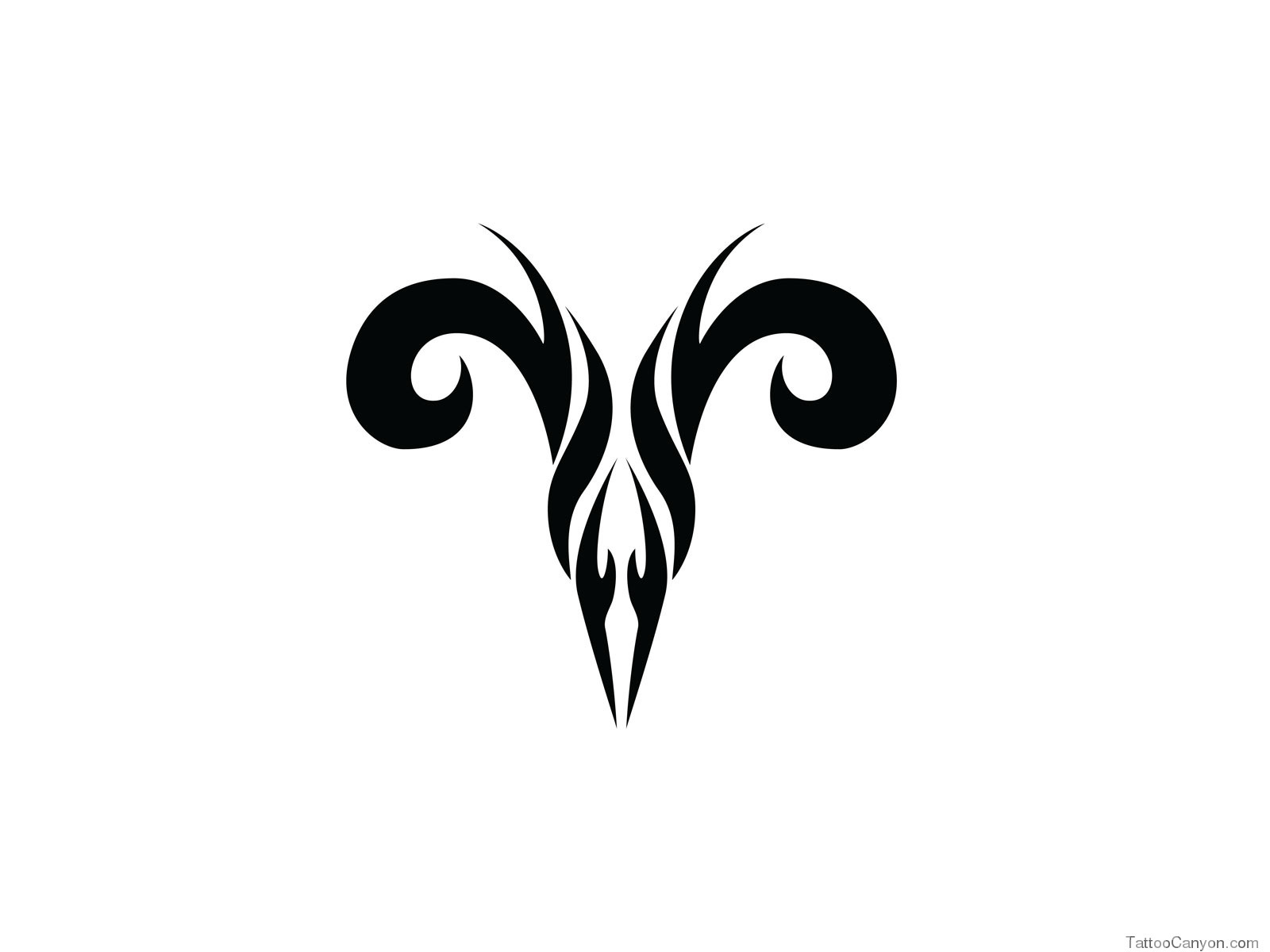 Designs Zodiac Aries Tribal Tattoo Wallpaper Picture