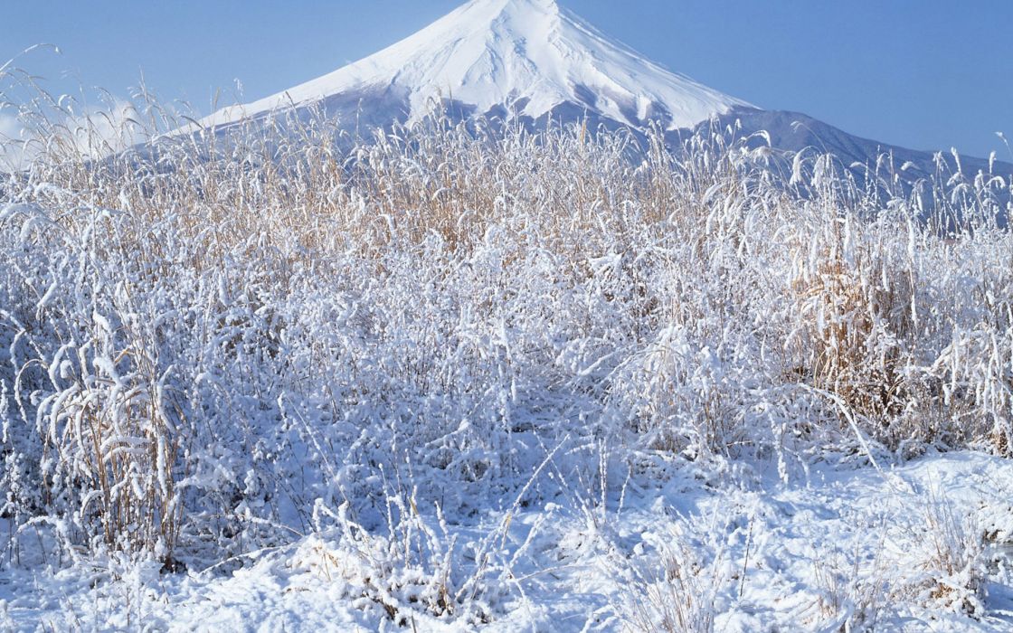 Japan winter snow Mount Fuji wallpaper 1920x1200 218700 1120x700