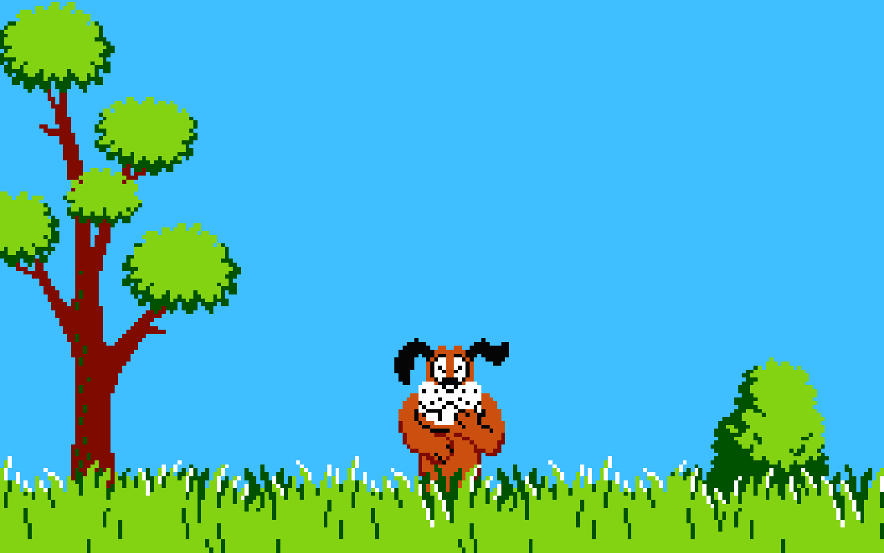 Donald Duck Hunting HD Wallpaper Background