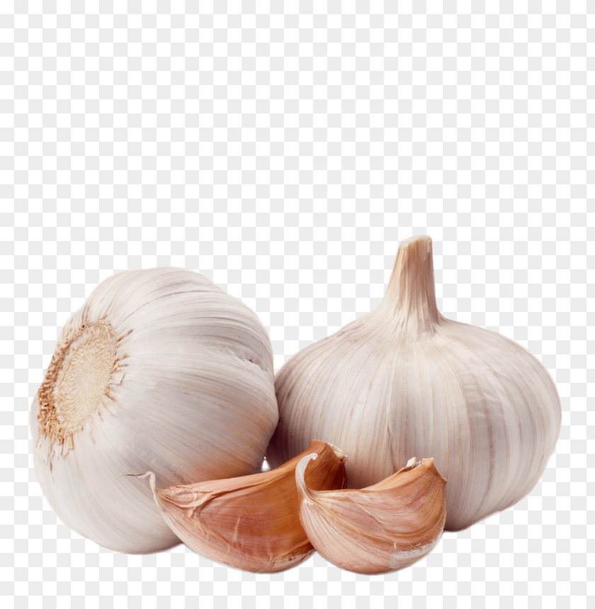 Garlic Png Image Background Toppng