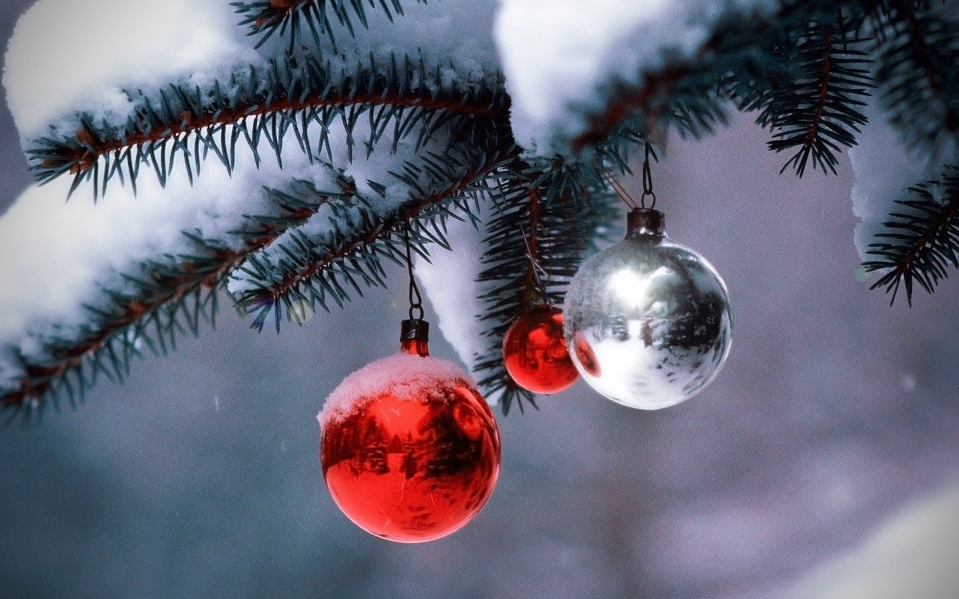 Christmas ornaments hanging on a snow-covered fir tree branch
