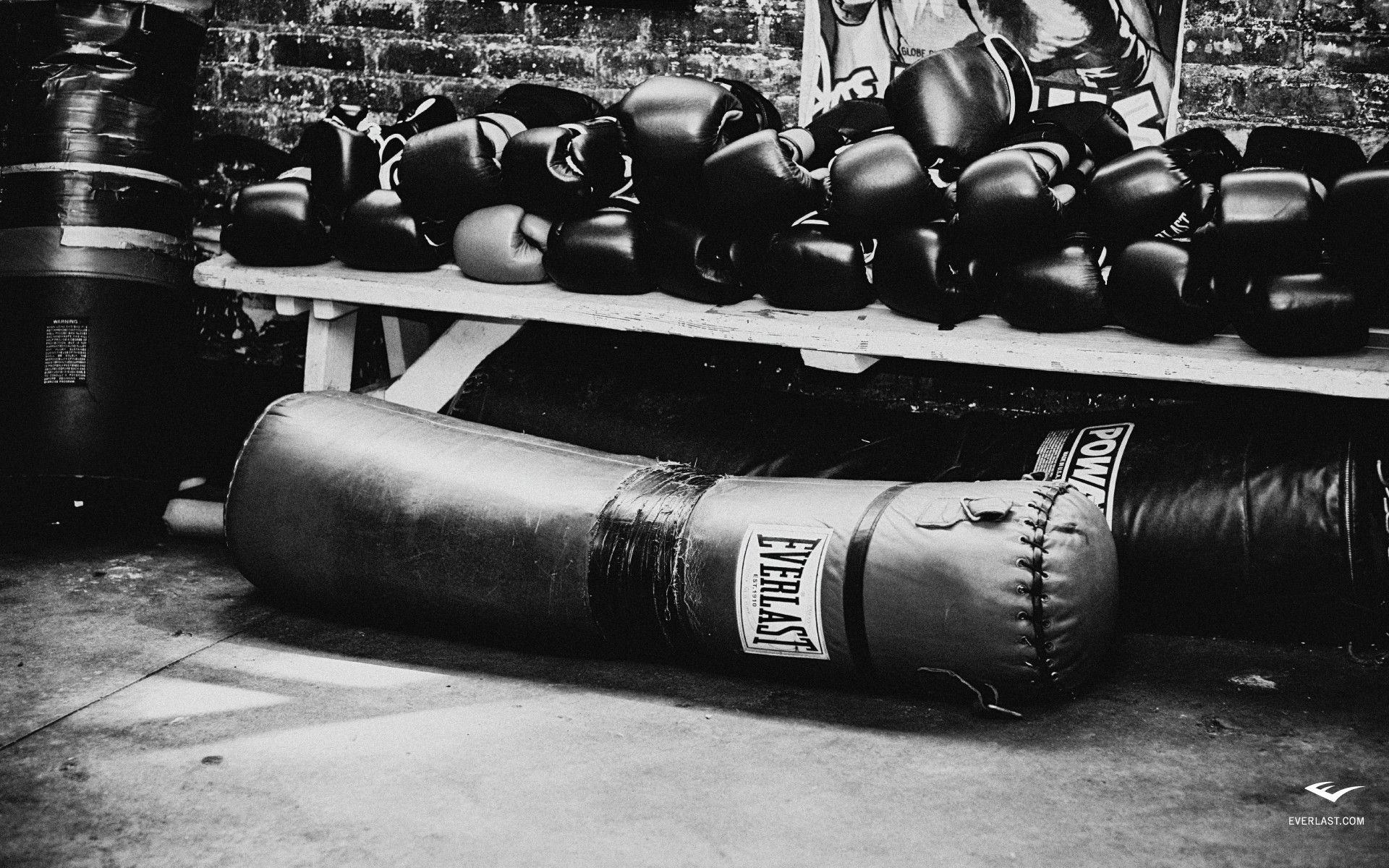 Boxing Widescreen Wallpaper Baltana