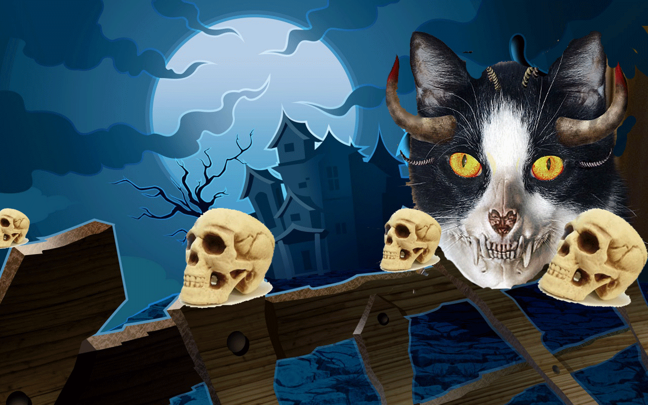 Halloween Wallpaper Cat Black