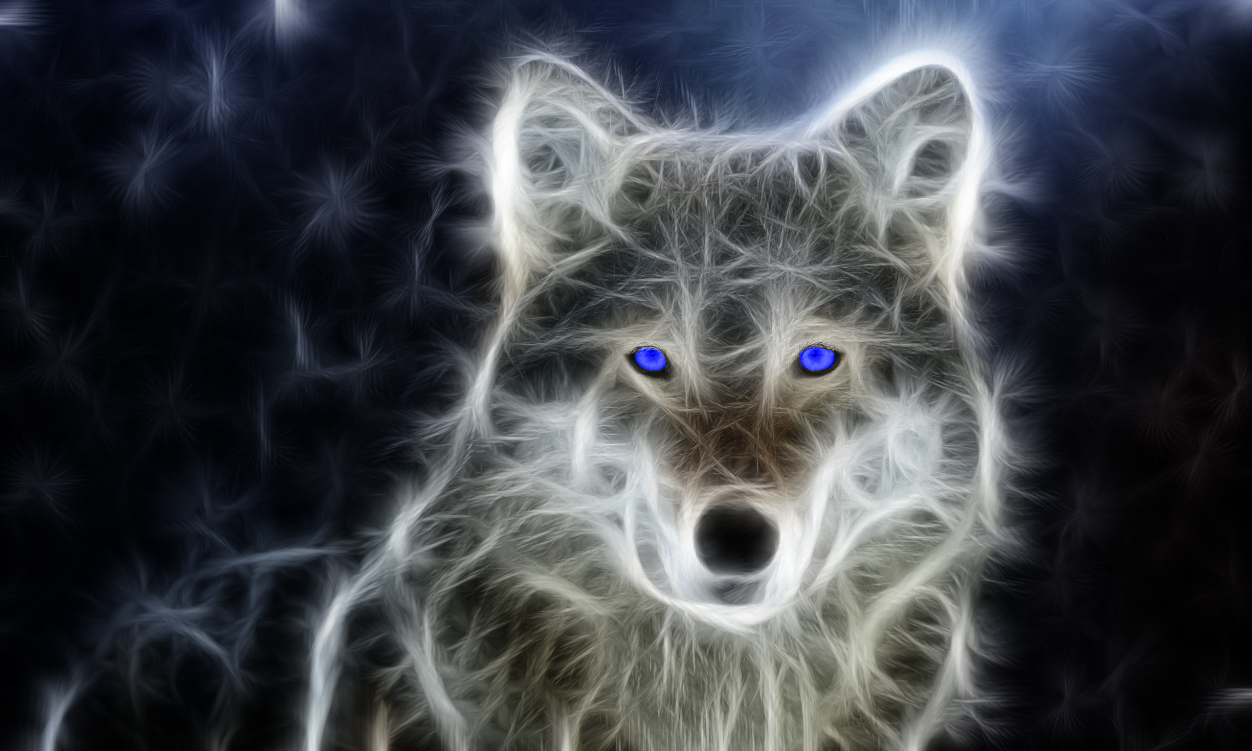 European Grey Wolf Wallpaper HD