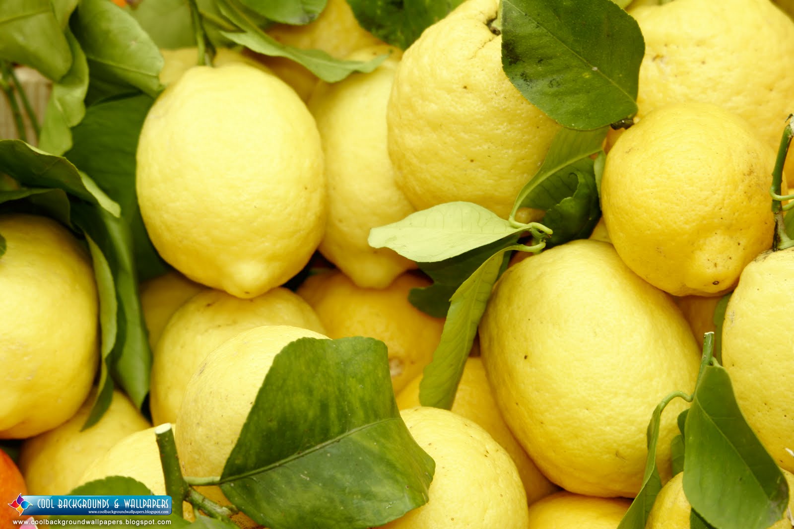 Nim Fresh Lemon HD Wallpaper