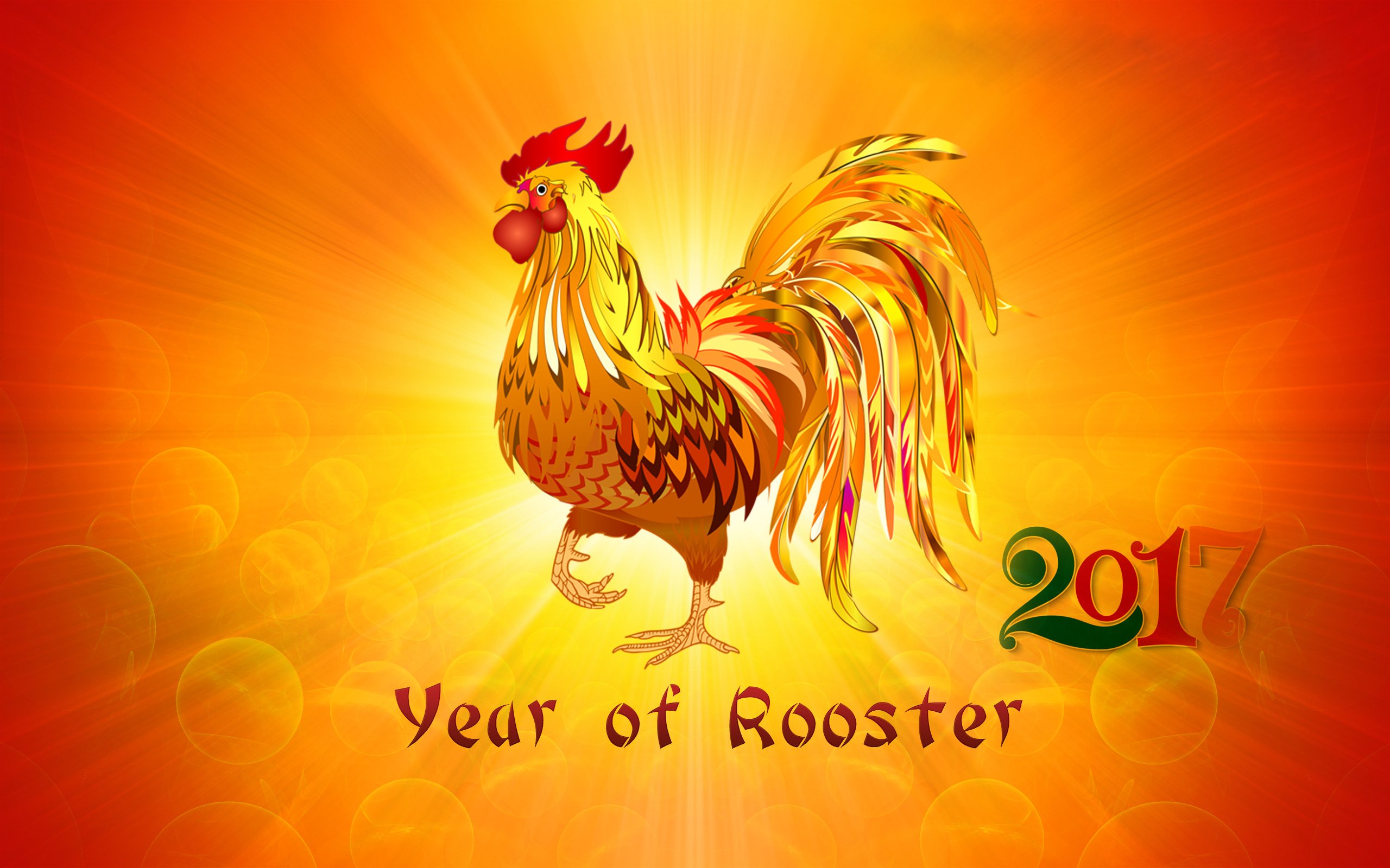 71 Chinese New Year HD Wallpapers Background Images   Wallpaper