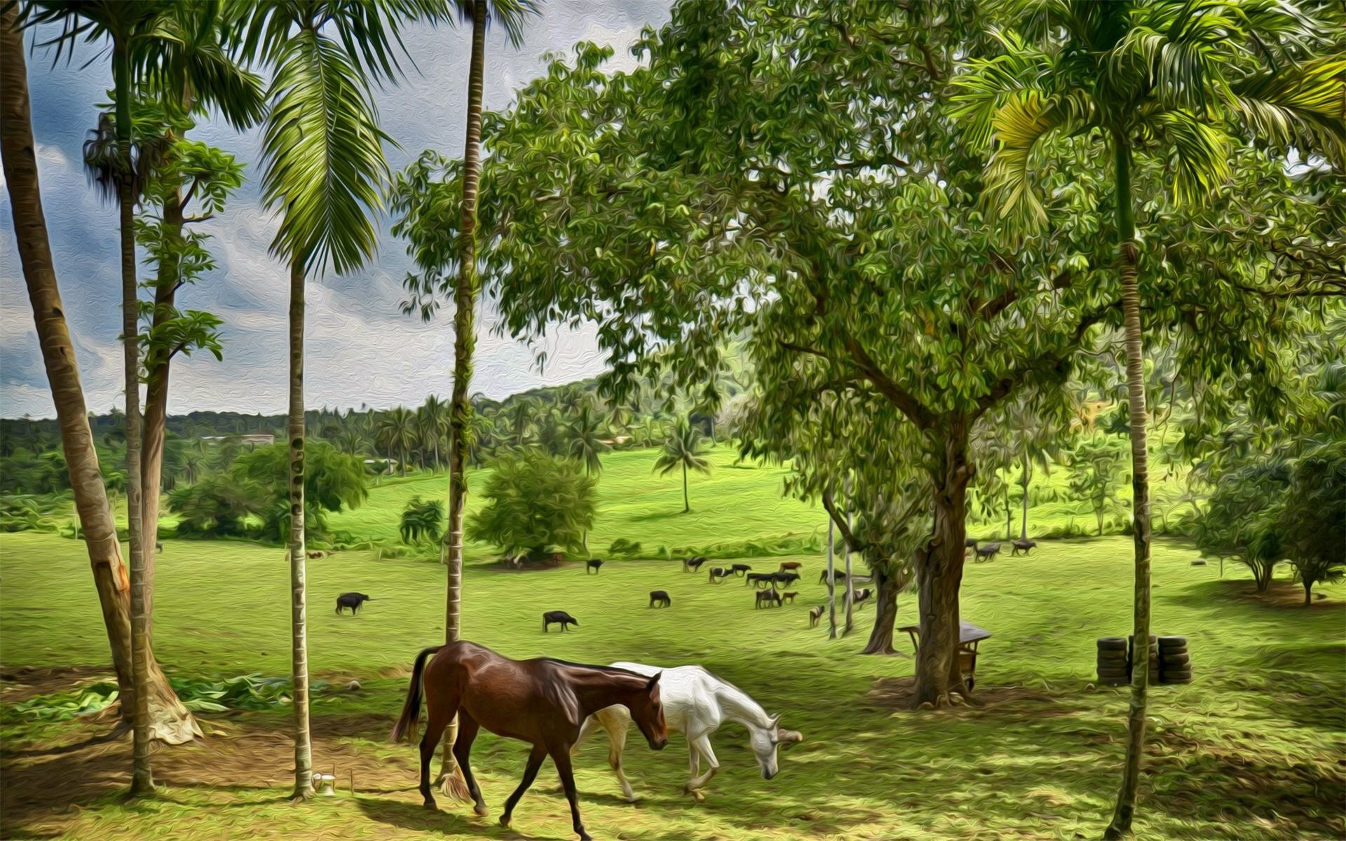 Farm Animals Wallpaper