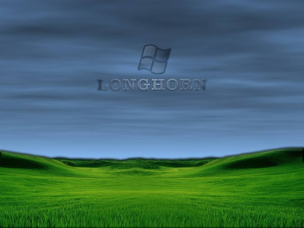 Longhorn Wallpaper Desktop Background